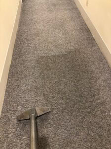 Hallway Carpet Cleaning in Progres