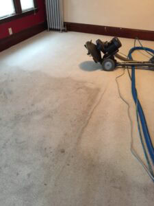 Rotovac on Carpet In progress